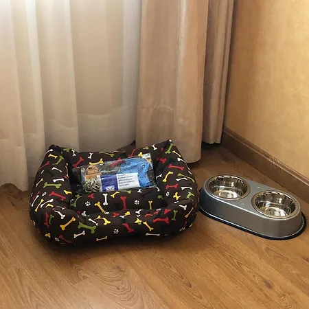 Oca De 4* Avilés